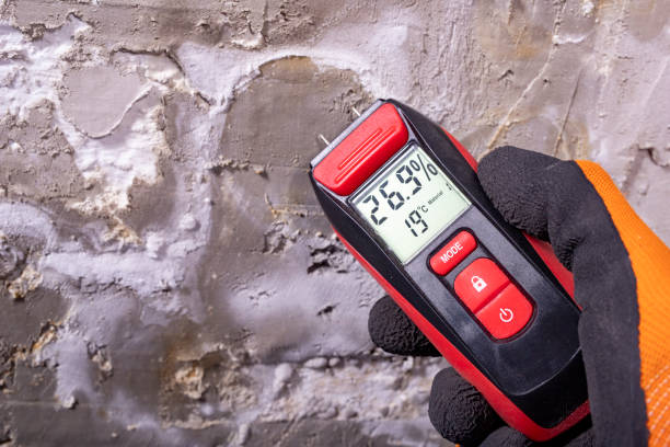 Best Mold Cleaning Services  in Cambridge, NE
