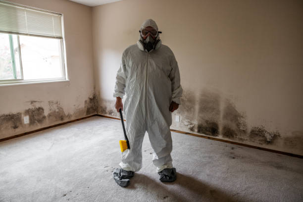 Mold Removal and Inspection in Cambridge, NE